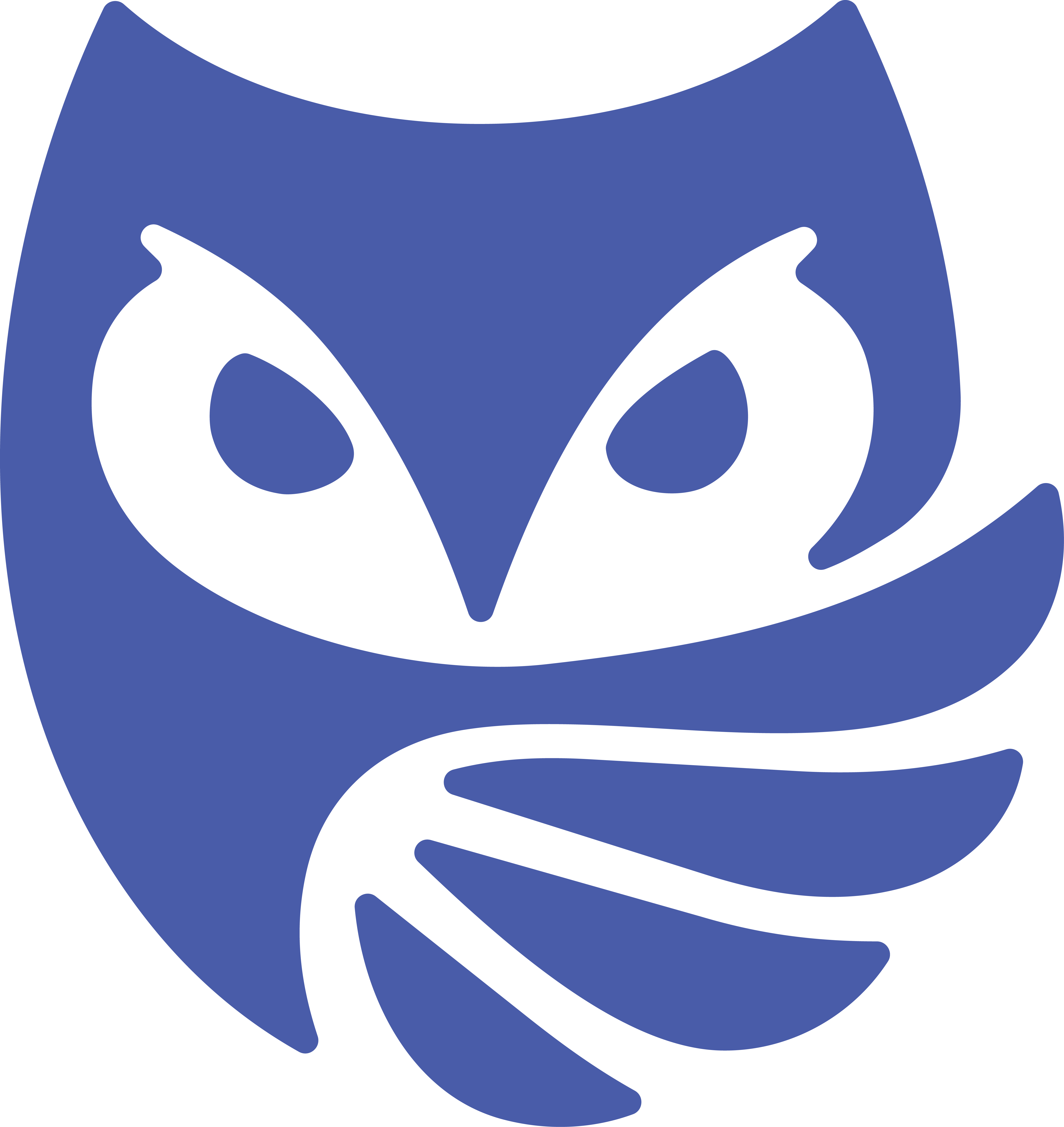 SOWA Privacy Logo